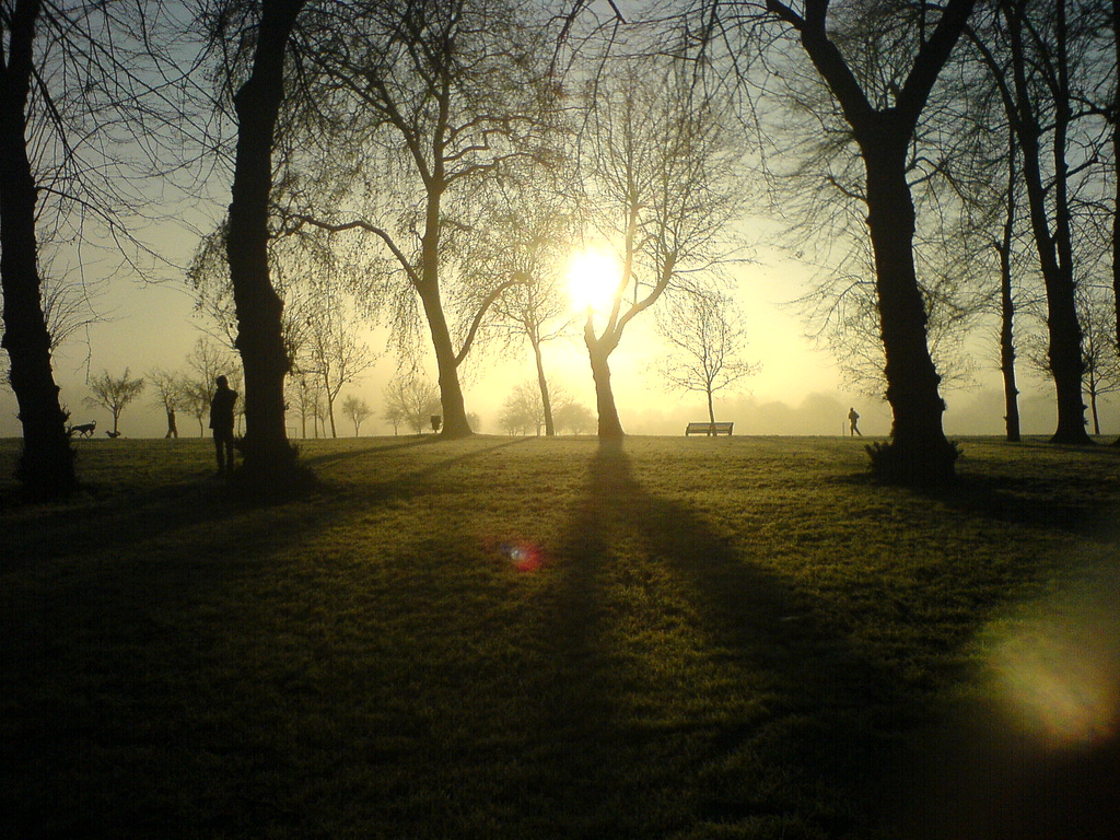 A glorious autumn morning at Victoria Park in East London. After a crisp morning wander you'll need somewhere warm and welcoming to go home to.