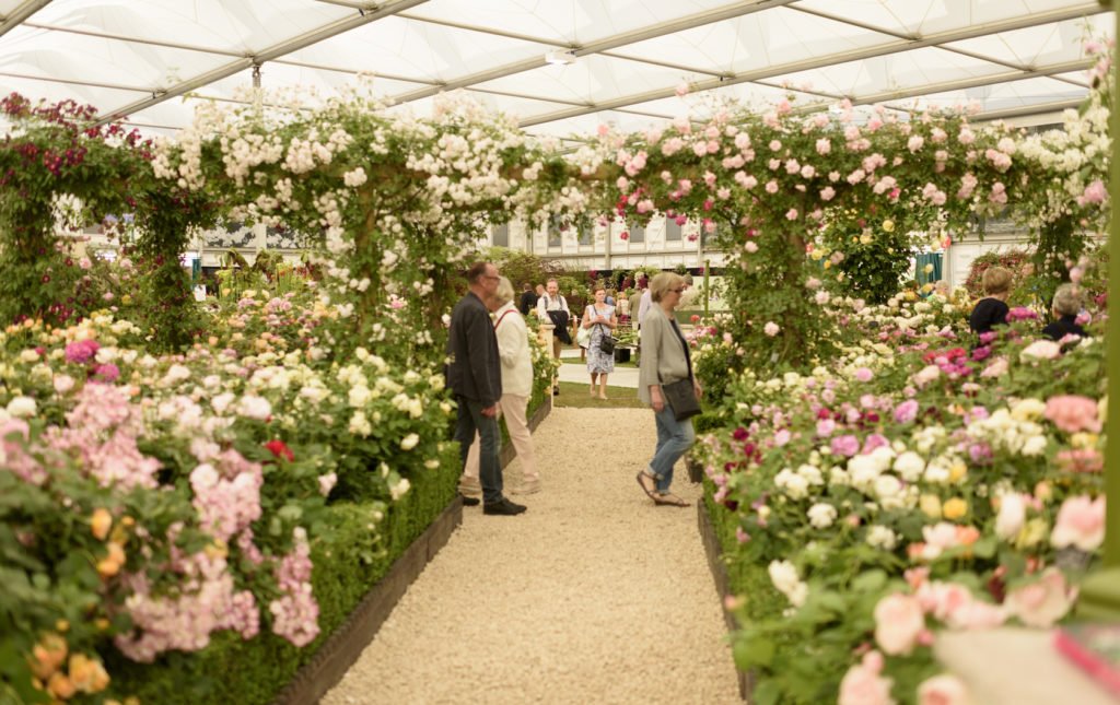 The Complete Chelsea Flower Show Guide London Perfect